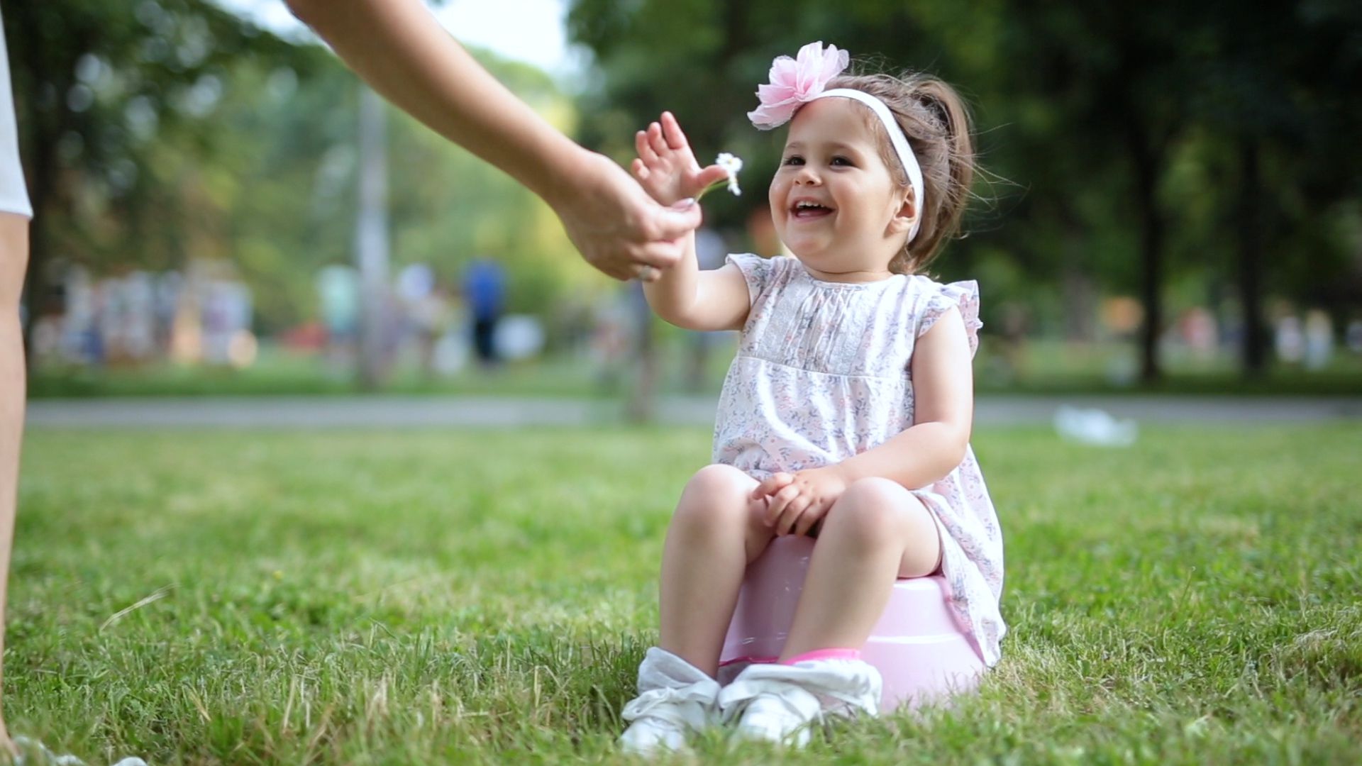 Potty Training Tips And Tricks