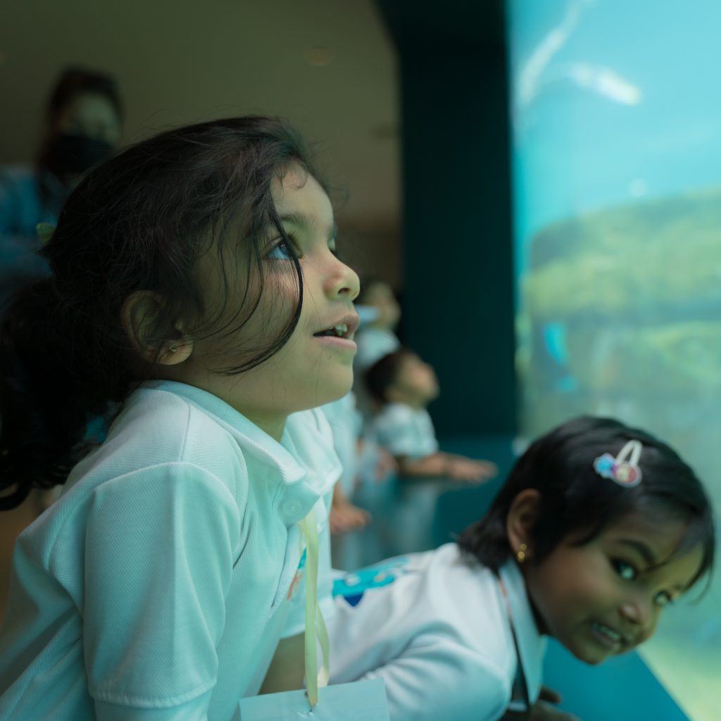 nursery field trip
