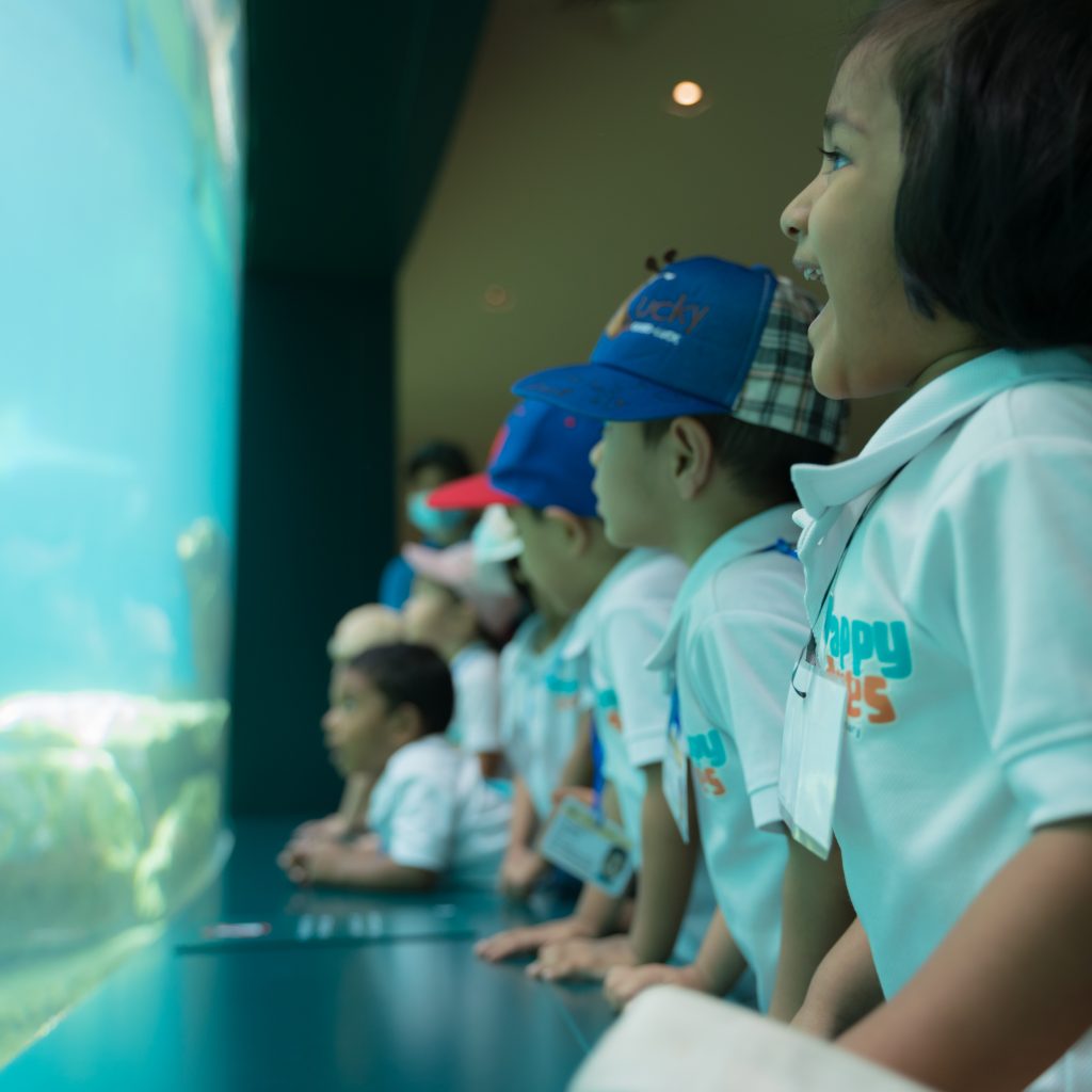 nursery field trip