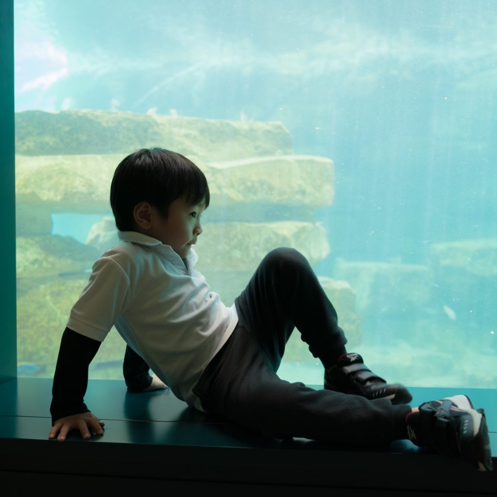 nursery field trip