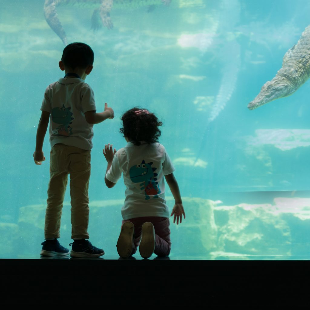 nursery field trip TO THE AQUARIUM